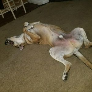 Meet your Posher, Myrna